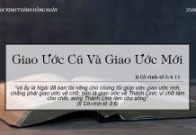Giao Ước Cũ Và Giao Ước Mới – 23/6/2022