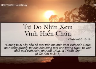 Tự Do Nhìn Xem Vinh Hiển Chúa – 24/6/2022