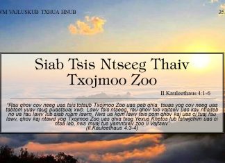 Siab Tsis Ntseeg Thaiv Txojmoo Zoo – 25/6/2022