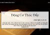 Động Cơ Thúc Đẩy – 26/6/2022