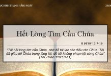 Hết Lòng Tìm Cầu Chúa – 28/6/2022