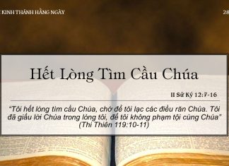 Hết Lòng Tìm Cầu Chúa – 28/6/2022