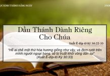 Dầu Thánh Dành Riêng Cho Chúa – 29/6/2022