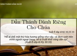 Dầu Thánh Dành Riêng Cho Chúa – 29/6/2022