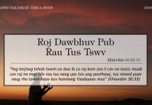 Roj Dawbhuv Pub Rau Tus Tswv – 29/6/2022