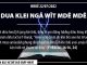 Dua Klei Ngă Wĭt Mdê Mdê – 22/7/2022