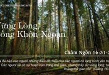 Vững Lòng, Sống Khôn Ngoan – 10/7/2022