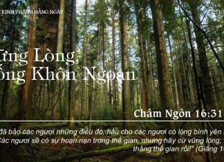 Vững Lòng, Sống Khôn Ngoan – 10/7/2022