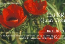 Hai Điều Quan Trọng – 12/7/2022