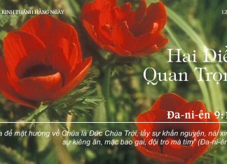 Hai Điều Quan Trọng – 12/7/2022