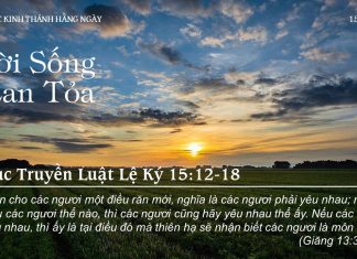 Đời Sống Lan Tỏa – 15/7/2022