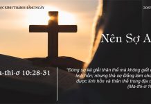 Nên Sợ Ai? – 20/7/2022