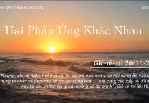 Hai Phản Ứng Khác Nhau – 22/7/2022