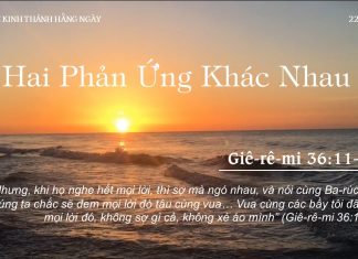 Hai Phản Ứng Khác Nhau – 22/7/2022