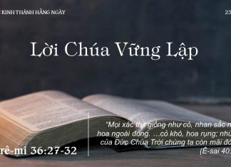Lời Chúa Vững Lập – 23/7/2022