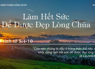 Làm Hết Sức Để Được Đẹp Lòng Chúa – 26/7/2022