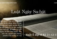 Luật Ngày Sa-bát – 30/7/2022