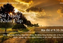 Sứ Mạng Khẩn Cấp – 7/7/2022