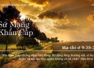 Sứ Mạng Khẩn Cấp – 7/7/2022