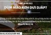 Dŭm Mâo Kơh Dưi Djăp? – 6/8/2022