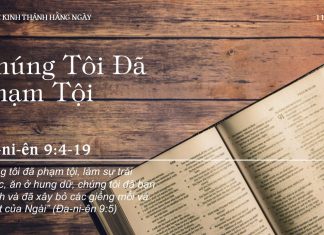 Chúng Tôi Đã Phạm Tội – 11/8/2022