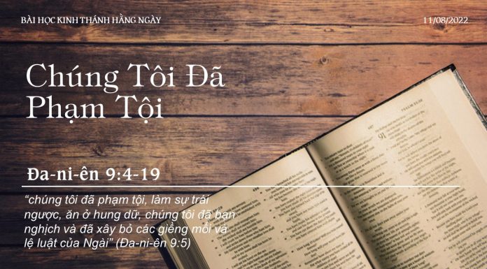 Chúng Tôi Đã Phạm Tội – 11/8/2022