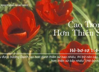 Cao Trọng Hơn Thiên Sứ – 12/8/2022