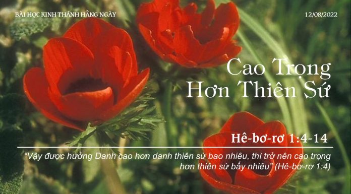 Cao Trọng Hơn Thiên Sứ – 12/8/2022