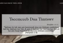 Tseemceeb Dua Timtswv – 12/8/2022
