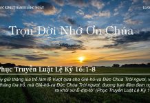 Trọn Đời Nhớ Ơn Chúa – 15/8/2022