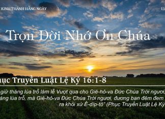 Trọn Đời Nhớ Ơn Chúa – 15/8/2022