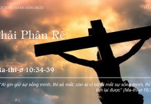 Phải Phân Rẽ – 19/8/2022