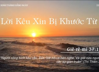 Lời Kêu Xin Bị Khước Từ – 22/8/2022