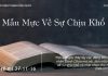 Mẫu Mực Về Sự Chịu Khổ – 23/8/2022
