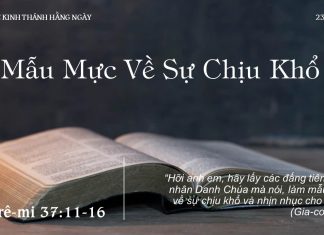 Mẫu Mực Về Sự Chịu Khổ – 23/8/2022