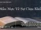 Mẫu Mực Về Sự Chịu Khổ – 23/8/2022
