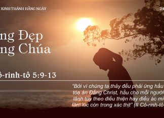 Sống Đẹp Lòng Chúa – 24/8/2022