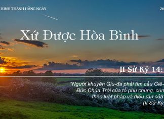 Xứ Được Hòa Bình – 26/8/2022