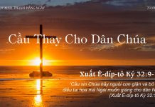 Cầu Thay Cho Dân Chúa – 31/8/2022
