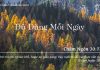Đủ Dùng Mỗi Ngày – 9/8/2022