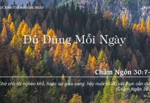 Đủ Dùng Mỗi Ngày – 9/8/2022