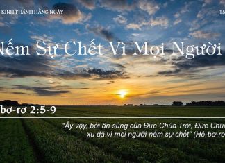 Nếm Sự Chết Vì Mọi Người – 15/9/2022