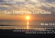 Tác Dụng của Lời Chúa – 2/9/2022