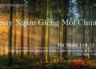 Suy Ngẫm Giềng Mối Chúa – 3/9/2022
