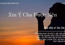 Xin Ý Cha Được Nên – 1/10/2022