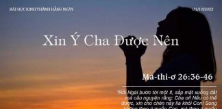 Xin Ý Cha Được Nên – 1/10/2022