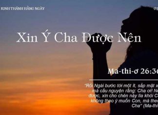 Xin Ý Cha Được Nên – 1/10/2022