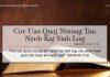 Cov Uas Quaj Ntsuag Tau Nyob Kaj Siab Lug – 11/10/2022