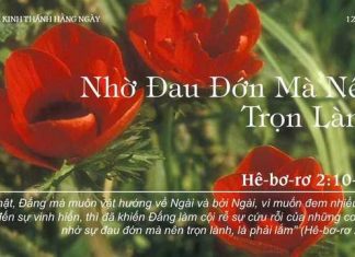 Nhờ Đau Đớn Mà Nên Trọn Lành – 12/10/2022