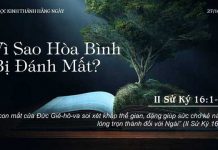 Vì Sao Hòa Bình Bị Đánh Mất? – 27/10/2022